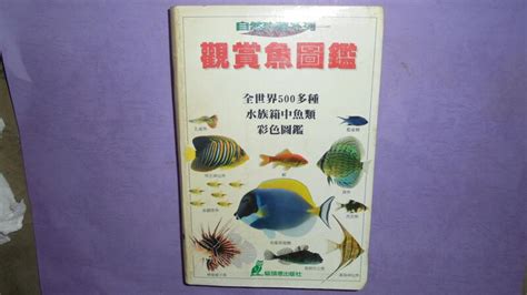 大型觀賞魚圖鑑|觀賞魚圖鑑